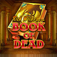 Book of Dead slot